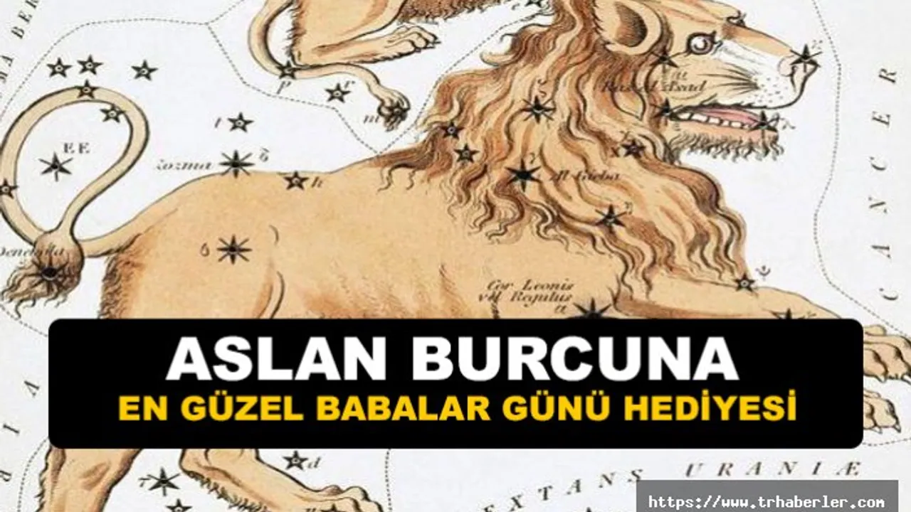Burclara Gore En Guzel Babalar Gunu Hediyeleri Aslan Burcuna Babalar Gunu Hediyesi