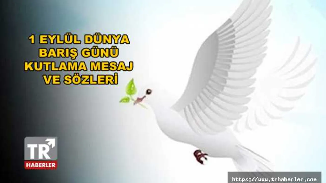 1 Eylul Dunya Baris Gunu Kutlama Mesajlari Ve Sozleri 1 Eylul Dunya Baris Gunu Nedir Neden Kutlanir