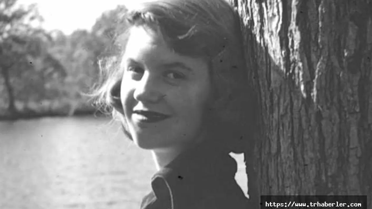 Google Dan Sylvia Plath Icin Doodle Sylvia Plath Kimdir