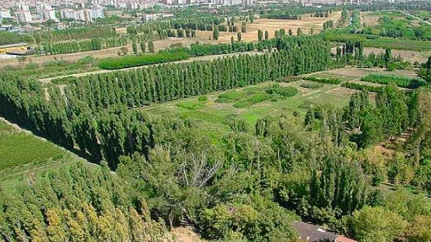 Atatürk Orman Çiftliği arazisinde yıllar sonra üretim başlıyor