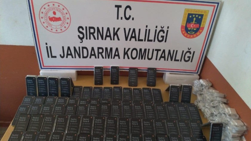 Şırnak’ta uyuşturucu ve kaçakçılık operasyonu: 46 gözaltı