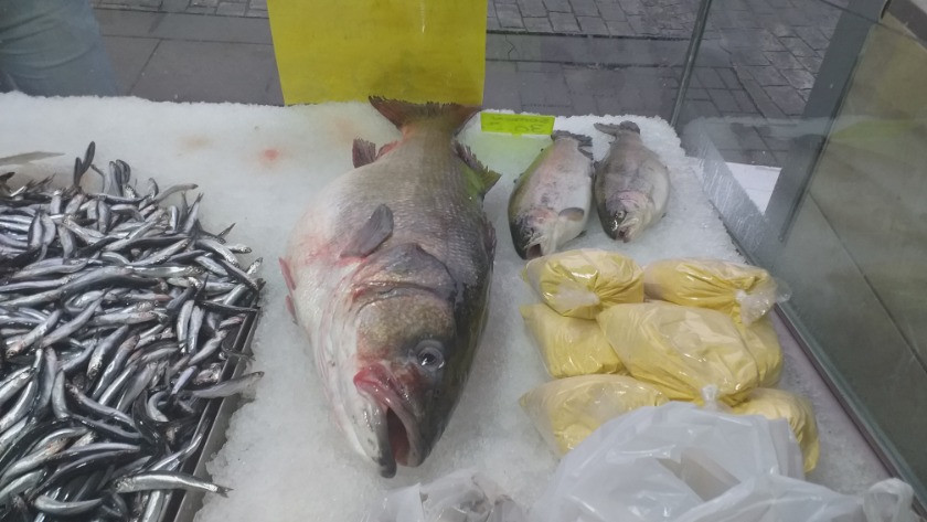 100 kilo fındığı olan bu balığı alabilir