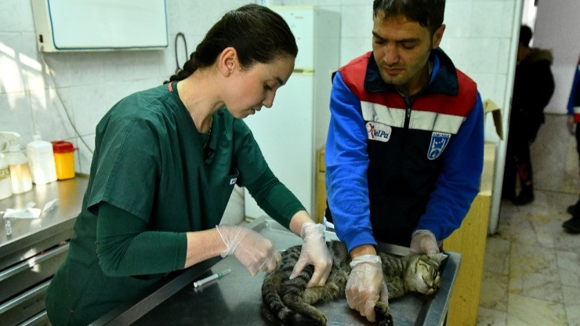 Ankara Büyükşehir’den acil durumlarda hayvanlara  “ilk yardım eğitimi”