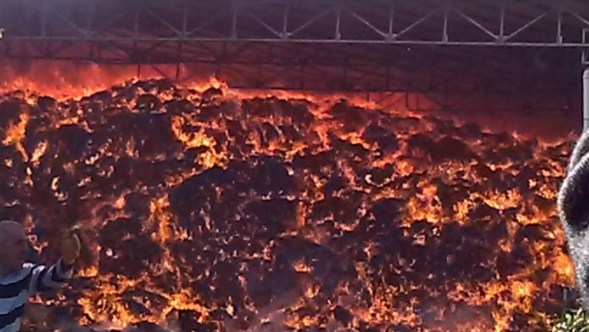 Çırçır fabrikasında yangın