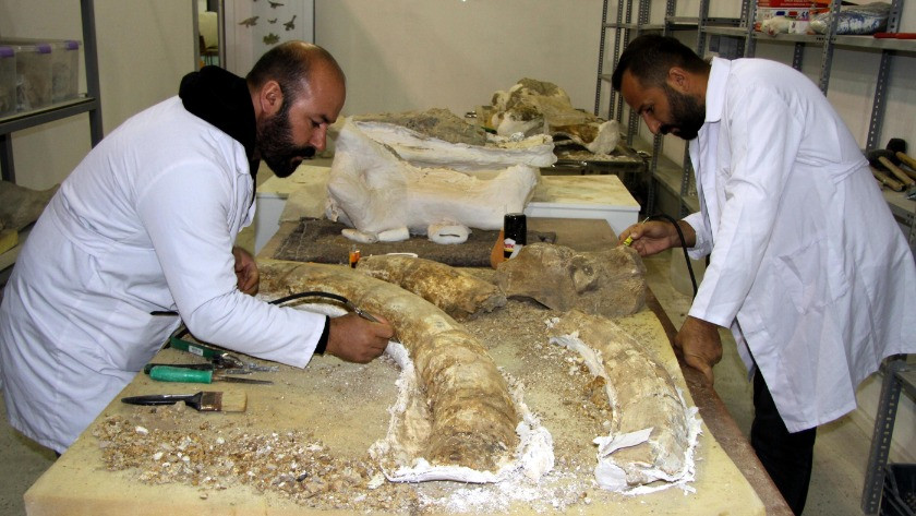 Kayseri'de 2019'da 105 fosil bulundu