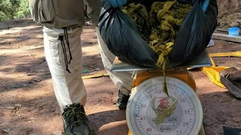 Tayland’ta geyiğin midesinden 7 kilogram çöp çıktı
