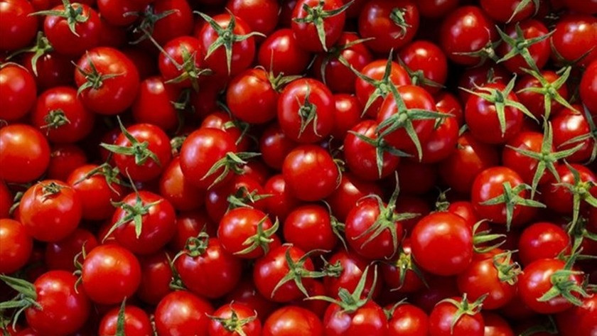 Rusya Türkiye'den domates ithalat kotasını artırdı