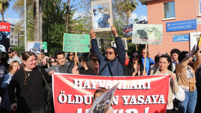 Alanya'da hayvanseverden protesto