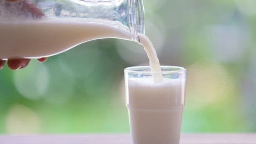 Çiğ süt destek ödemeleri ne zaman yapılacak?