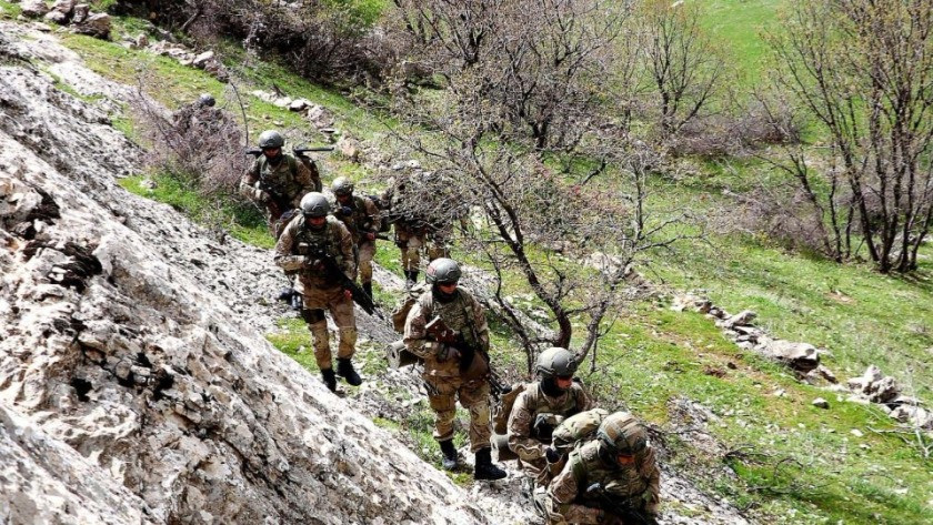 Bitlis ve Siirt'te 'Kıran-8 Sehi Ormanları Operasyonu'