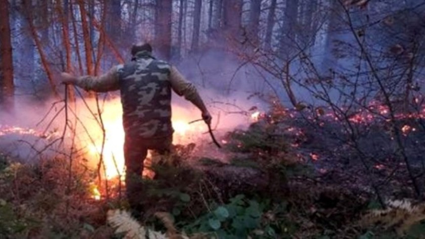 Uludağ'da ormanda korkutan yangın