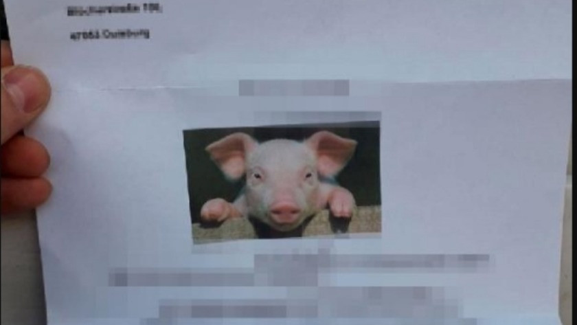 Camiye domuz fotoğrafı bulunan mektup gönderildi