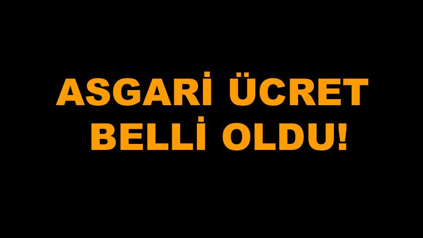 Asgari ücret zammı 2020 belli oldu ! Asgari ücret ne kadar oldu ? - Sayfa 1