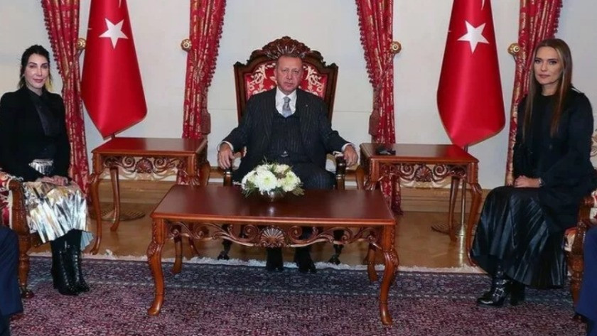 Erdoğan'ı ziyaret eden Demet Akalın'a etek boyu eleştirisi