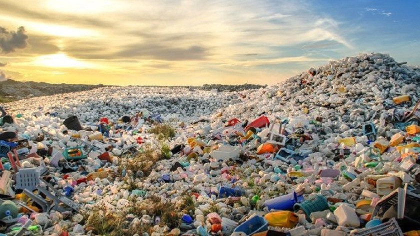 Distrofik göller atık plastikleri  gıdalara dönüştürebilir mi?
