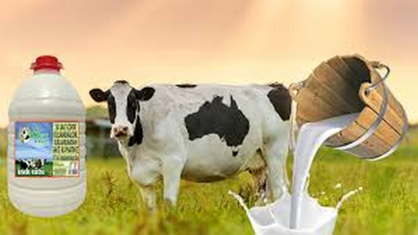 Çiğ inek sütünün satışında yeni düzenleme ve sınıflandırma getirildi!