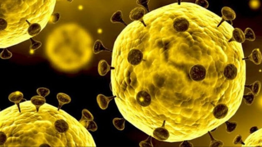 Favipiravir nedir nelerde bulunur? Corona virüs tedavisi: Favipiravir