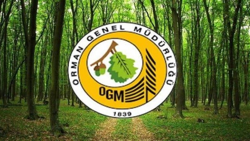OGM'den orman muhafaza memuru ile mühendis personel alımı açıklaması!