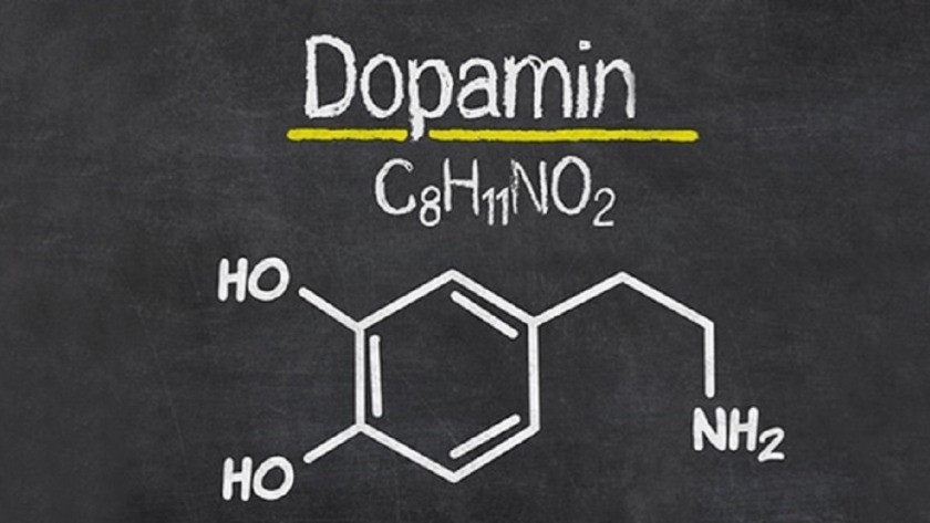 Dopamin nedir? Ne işe yarar?Fazlalılığı ne yapar? Eksikliği ne tür sorunlar yaratır?