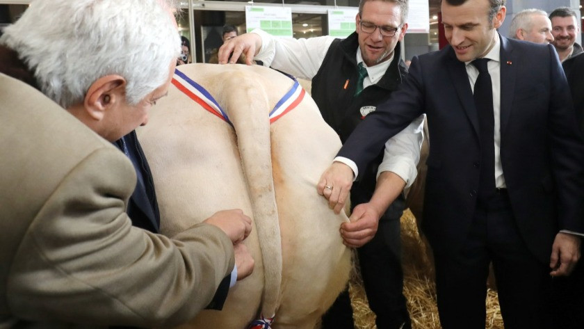 Macron, hayvanların kalitesini kontrol etti