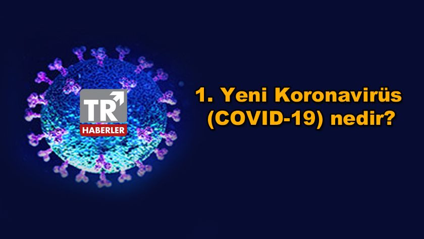Corona Virüs Halka Yönelik Sıkça Sorulan Sorular | Koronavirüsün Yayılmasını Önlemeye Yardımcı Ol - Sayfa 2