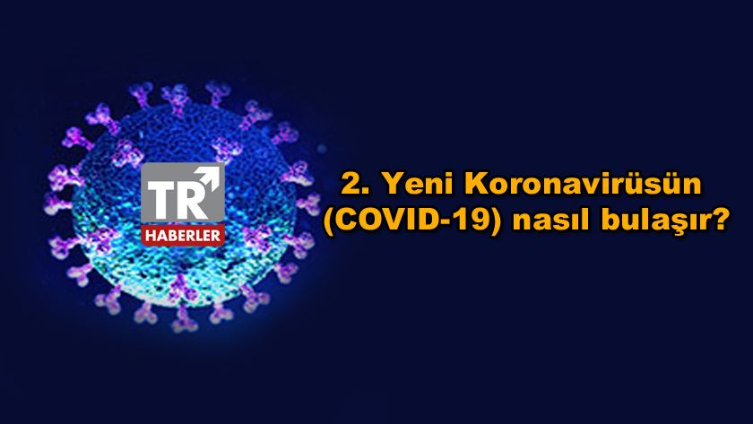 Corona Virüs Halka Yönelik Sıkça Sorulan Sorular | Koronavirüsün Yayılmasını Önlemeye Yardımcı Ol - Sayfa 3