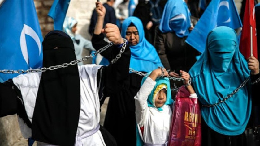 Hidayet Oğuzhan Uygur Türkleri'ne dikkat çekti