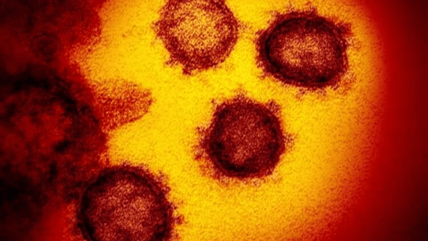 Korona virüs ile ilgili ölümcül hatalar neler ?Virüs nasıl yayıldı?