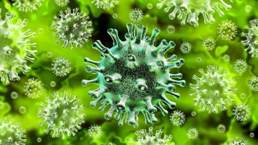 İvermektin koronavirüsü tedavi ediyor mu? İvermektin nedir?
