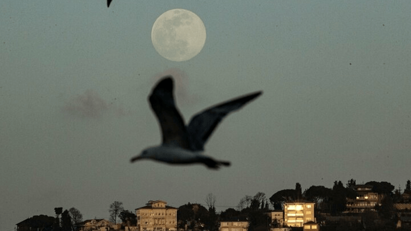 Türkiye'de ''Süper Ay'' kartpostallık görüntüler oluşturdu!