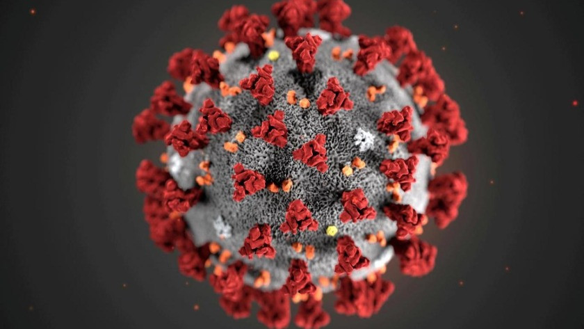 Türk bilim insanları koronavirüsün parmak izini çözdü!