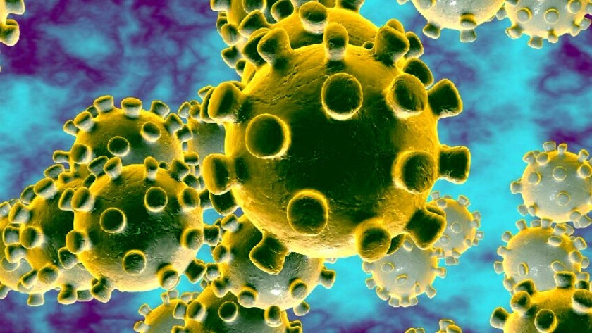 Corona virüsün hücreye saldırı anı bilim insanlarınca görüntülendi