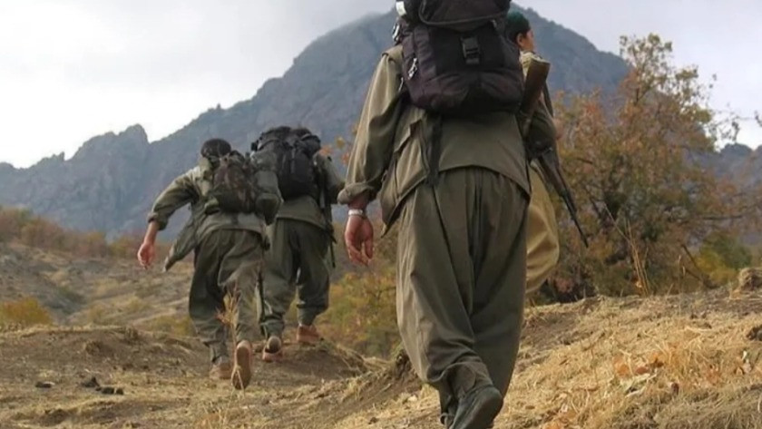 Etkisiz hale getirilen PKK'lı terörist koronavirüslü çıktı !