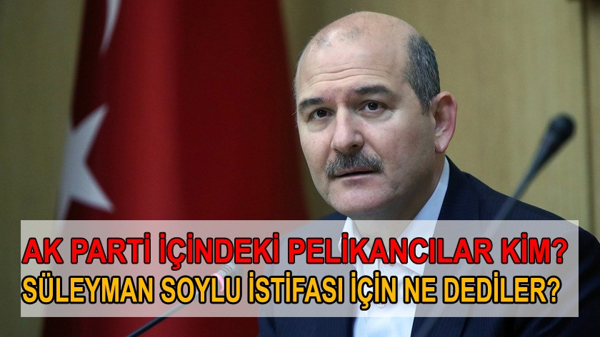 Ak Parti içindeki Pelikancılar kimdir? Süleyman Soylu'nun istifası !