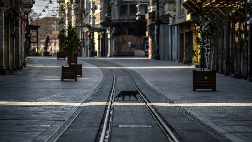 Türkiye sokağa çıkma yasağından yana! İşte dikkat çeken sonuçlar...