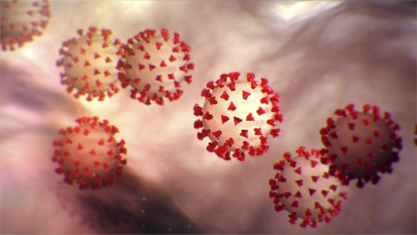 Şoke eden gelişme! Bilim insanları 6 yeni koronavirüs türü keşfetti