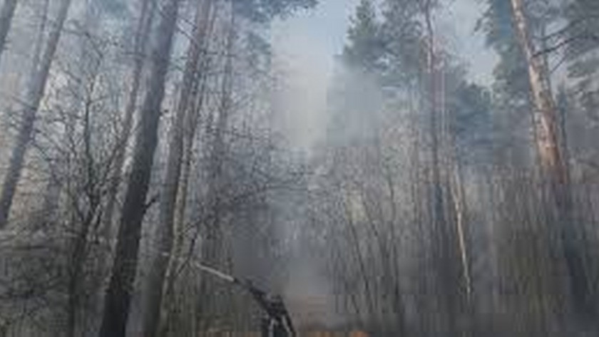 Çernobil'deki orman yangını Türkiye'yi etkileyecek mi?