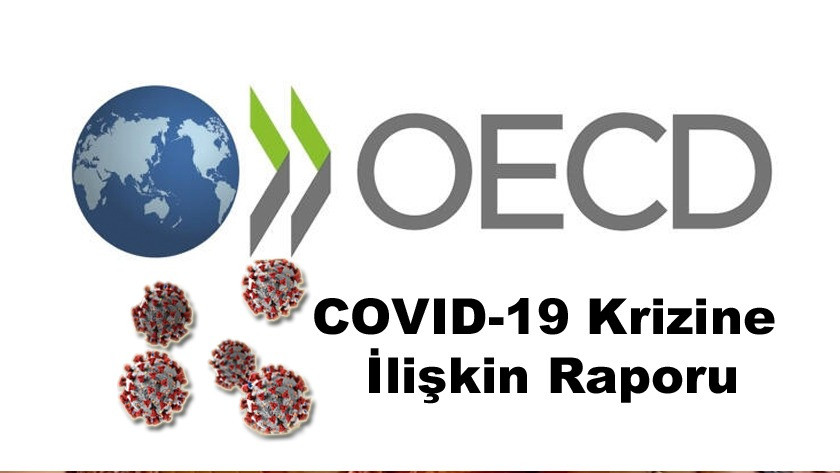OECD'nin COVID-19 Krizine İlişkin Raporu Yayımladı