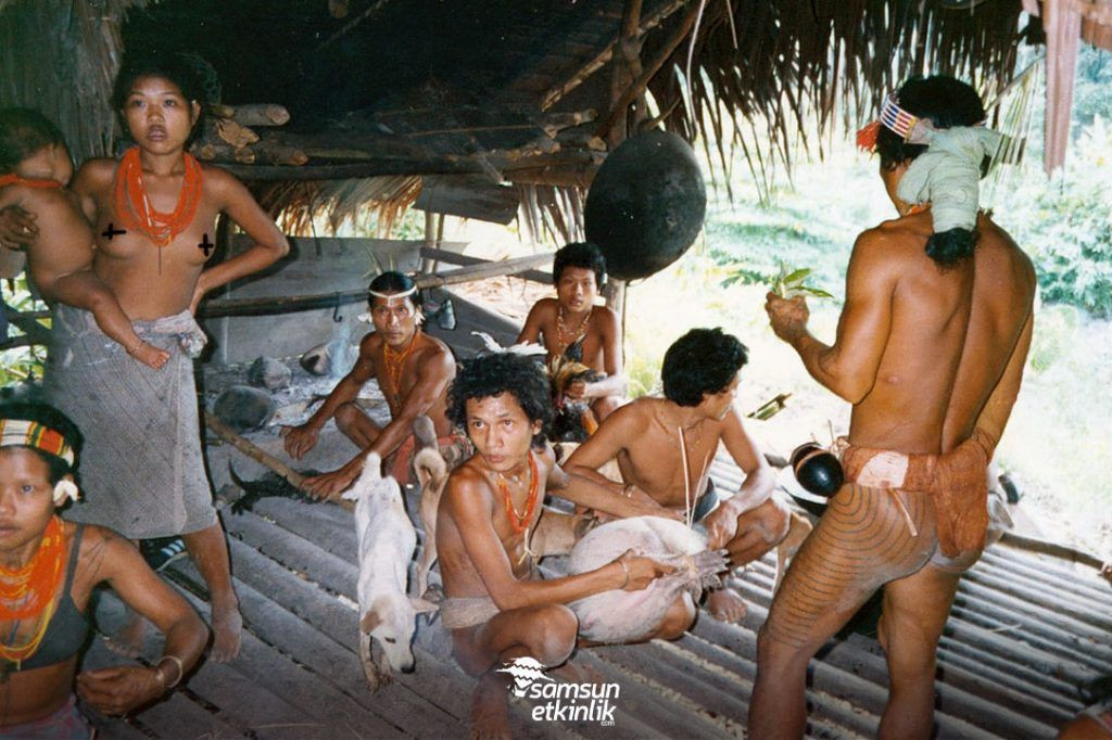 Kayıp dünya halkı olan mentawai kabilesi nerede yaşıyor? - Sayfa 4