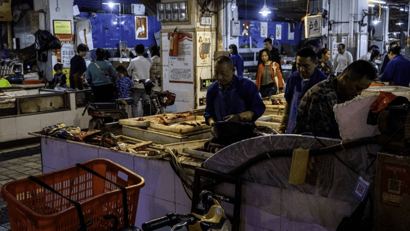 Koronavirüs Wuhan’daki hayvan pazarından yayılmadı” iddiasının yanıtı!