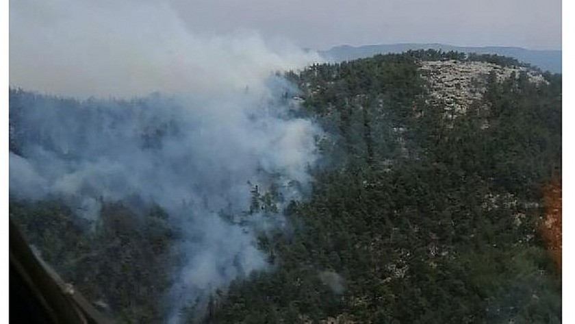 Muğla Milas'ta korkutan orman yangını !