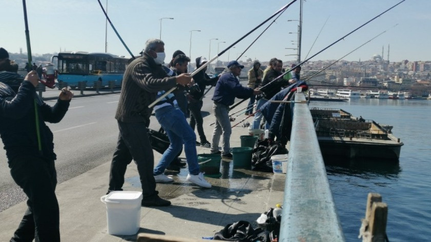 Bakan Koca'dan Galata Köprüsü'ndeki balıkçılara mesaj: Rast gelmesin!