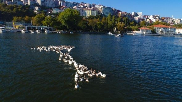 Adeta tabiat parkını andırıyordu,Şimdilerde ise çamura boğuldu! - Sayfa 3