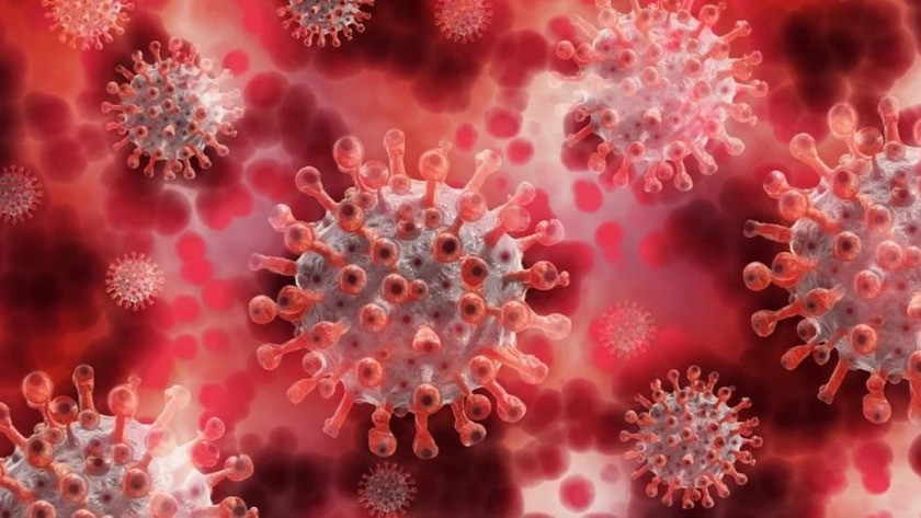 Prof. Dr. İlhan Çetin:  Koronavirüs mutasyona uğramış olabilir