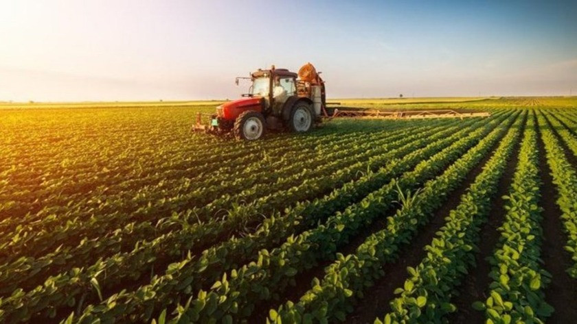 Tarım ve hayvancılıkla ilgili projeler 7 Temmuz'a kadar uzatıldı