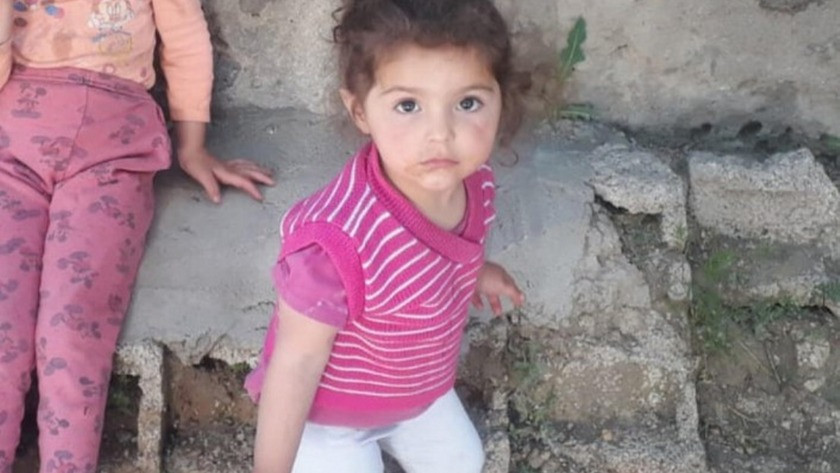 Van'da 2 yaşındaki Melek Memiş kayboldu