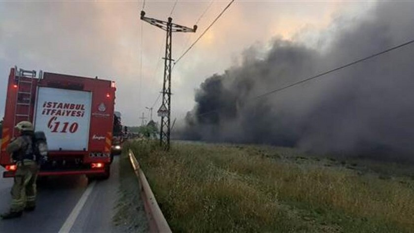 İzmir’in Menderes ilçesinde korkutan orman yangını
