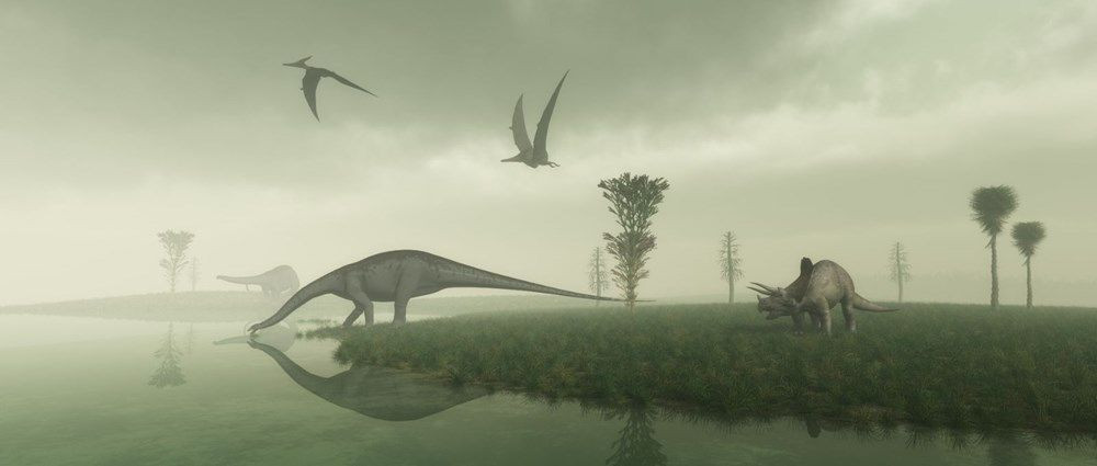 Dinozorların 10 santimetre uzunluğundaki atası bulundu! - Sayfa 2