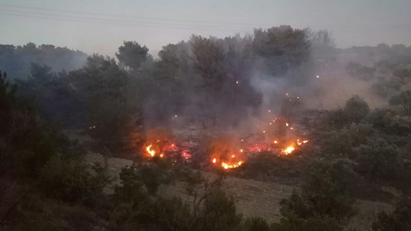 Manisa Soma'da korkutan orman yangını