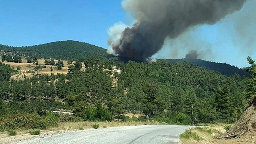İzmir Narlıdere'de korkutan orman yangını
